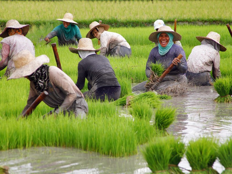 Payments for Ecosystem&nbsp;Services