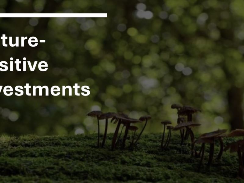 Nature- and Biodiversity-Positive Investments