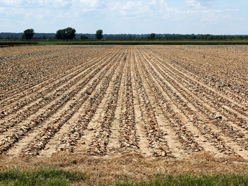 Corporate Climate Risks