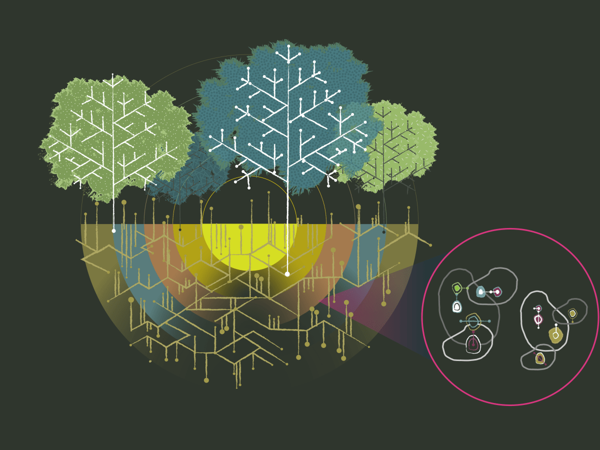 Climate Resilience Action&nbsp;Plan