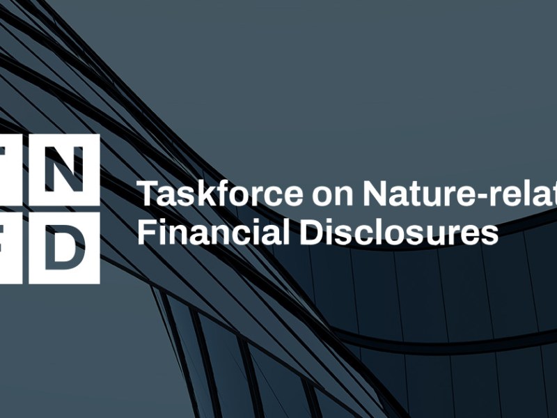 Emerging Nature Disclosure Landscape: TNFD and&nbsp;ISSB